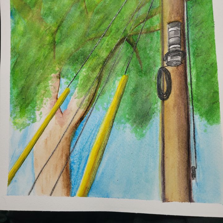 Watercolor painting of an electrical pole and a tree